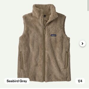 Patagonia Los Gatos vest